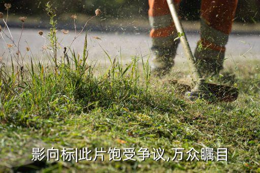 影向標(biāo)|此片飽受爭(zhēng)議,萬眾矚目