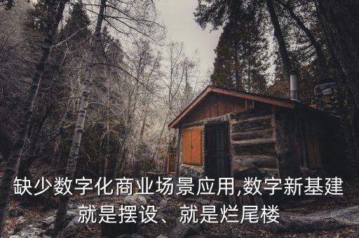 缺少數(shù)字化商業(yè)場景應用,數(shù)字新基建就是擺設(shè)、就是爛尾樓