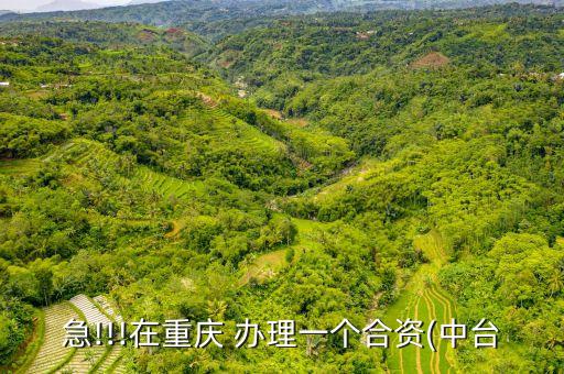 急!!!在重慶 辦理一個(gè)合資(中臺