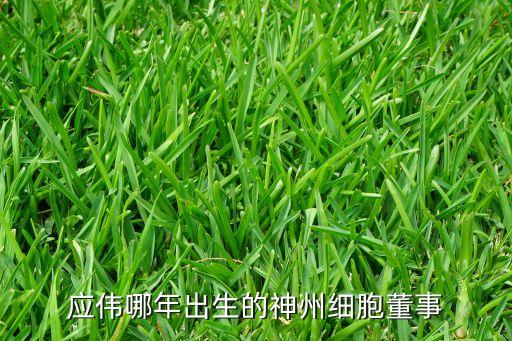 應(yīng)偉哪年出生的神州細胞董事