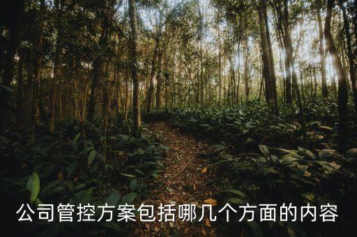 公司管控方案包括哪幾個方面的內容