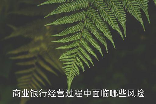  商業(yè)銀行經(jīng)營(yíng)過程中面臨哪些風(fēng)險(xiǎn)