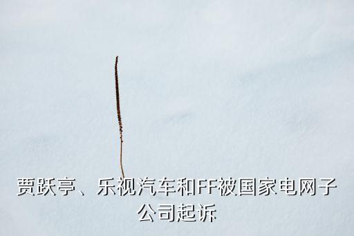 賈躍亭、樂(lè)視汽車(chē)和FF被國(guó)家電網(wǎng)子公司起訴