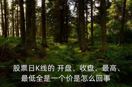  股票日K線的 開盤、收盤、最高、最低全是一個價是怎么回事