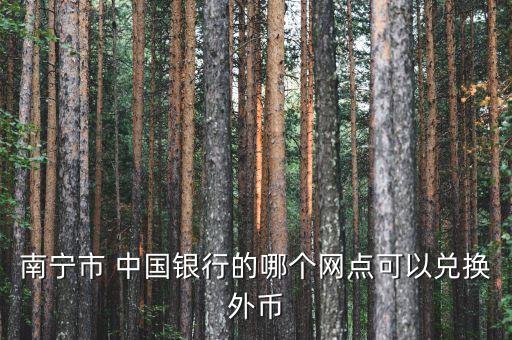 南寧市 中國(guó)銀行的哪個(gè)網(wǎng)點(diǎn)可以?xún)稉Q外幣