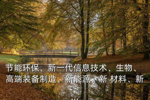 節(jié)能環(huán)保、新一代信息技術(shù)、生物、 高端裝備制造、新能源、新 材料、新...