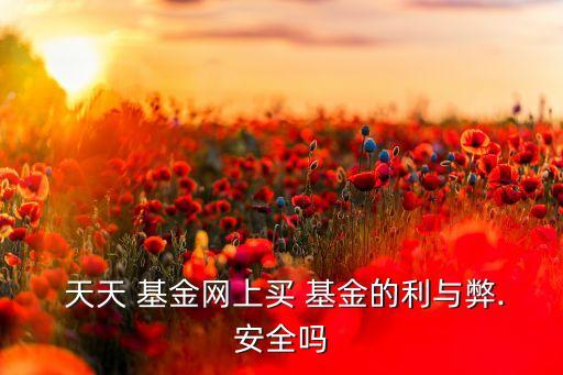  天天 基金網(wǎng)上買(mǎi) 基金的利與弊.安全嗎