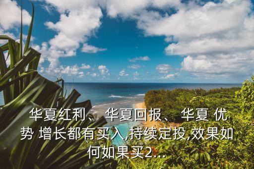  華夏紅利、 華夏回報(bào)、 華夏 優(yōu)勢(shì) 增長都有買入,持續(xù)定投,效果如何如果買2...
