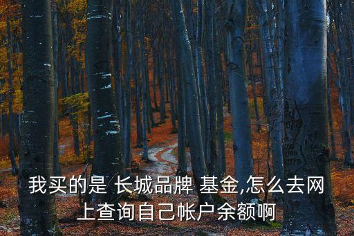 我買(mǎi)的是 長(zhǎng)城品牌 基金,怎么去網(wǎng)上查詢自己帳戶余額啊