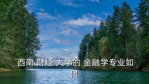 西南財經大學中國金融研究中心