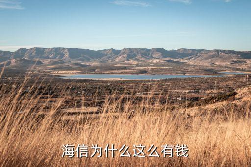 海信為什么這么有錢(qián)