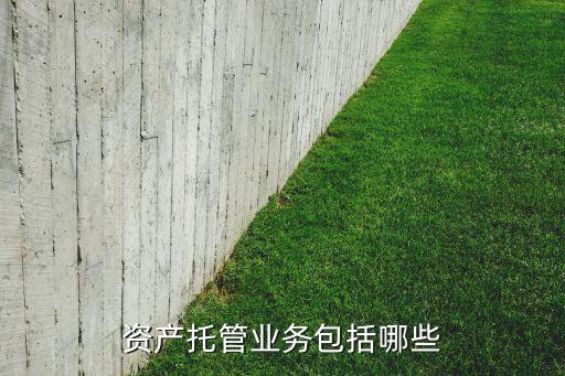 資產托管業(yè)務包括哪些