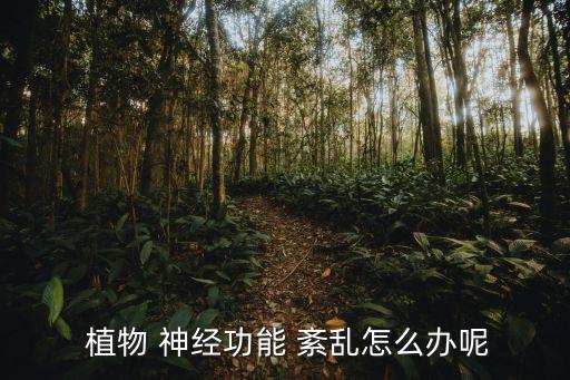 炒股票植物神經紊亂