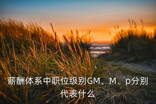 薪酬體系中職位級(jí)別GM、M、p分別代表什么